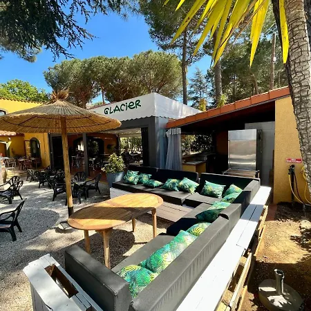 Des Mimosas 2*