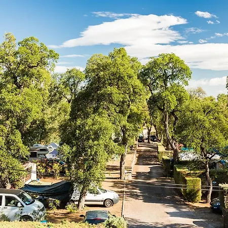 Des Mimosas Аржель-сюр-Мер