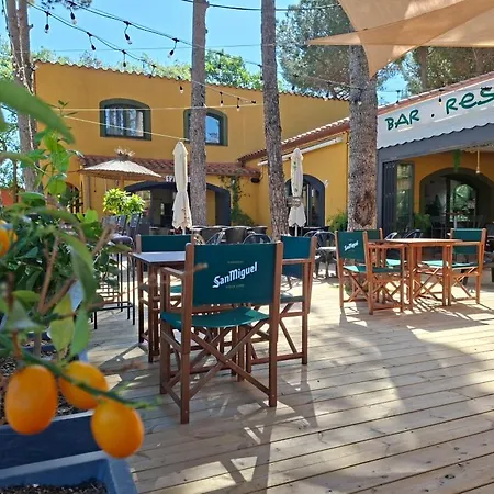 Des Mimosas 2*