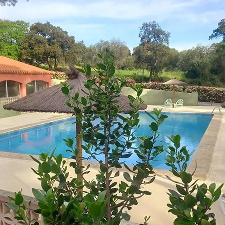 Des Mimosas Аржель-сюр-Мер