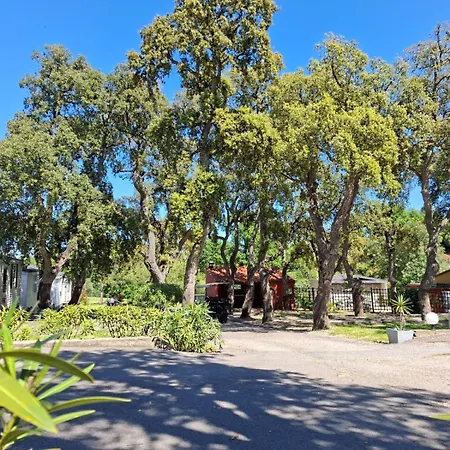 Des Mimosas Аржель-сюр-Мер