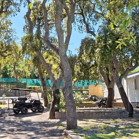 Des Mimosas Кемпинг