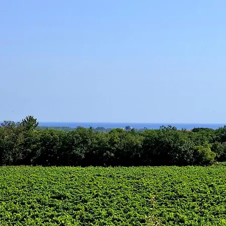 Кемпинг Des Mimosas 2*