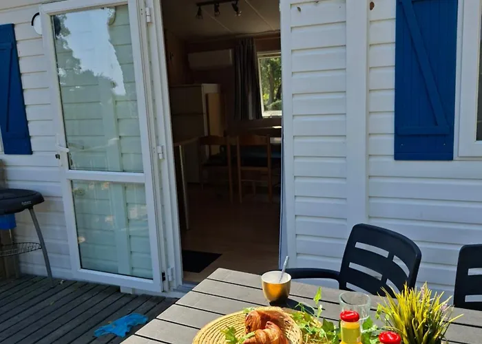 Des Mimosas