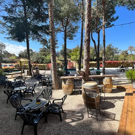 Des Mimosas Argelès-sur-Mer