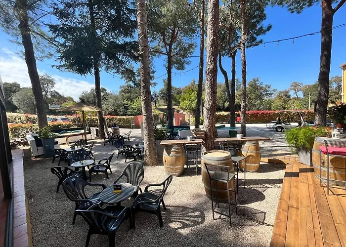 Des Mimosas Argelès-sur-Mer